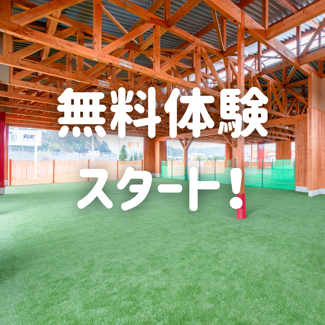 トライアルスタート